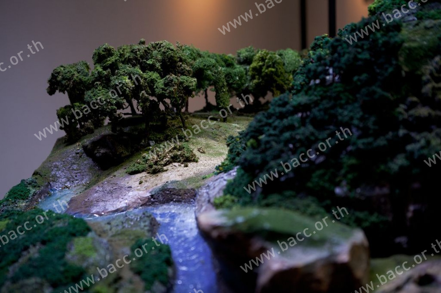 Photo Gallery - EARTH- WATER- FOREST- AIR The Royal Inspiration