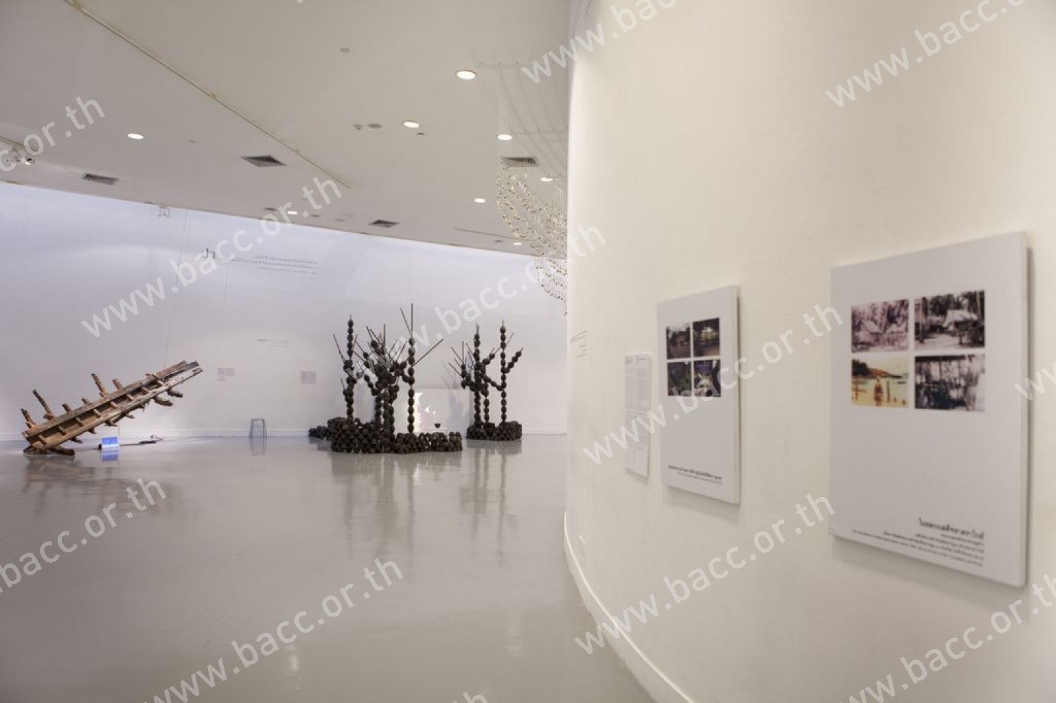 Photo Gallery - EARTH- WATER- FOREST- AIR The Royal Inspiration